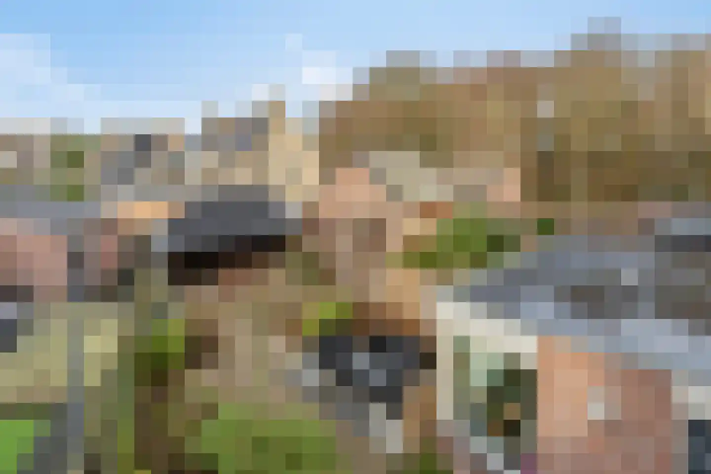 Bosrank 23 Cuijk thumbnail 31