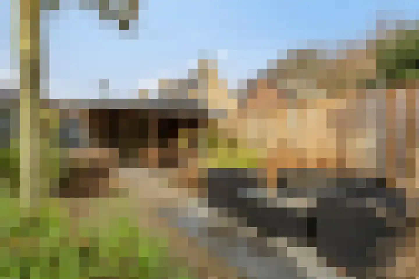 Bosrank 23 Cuijk thumbnail 32
