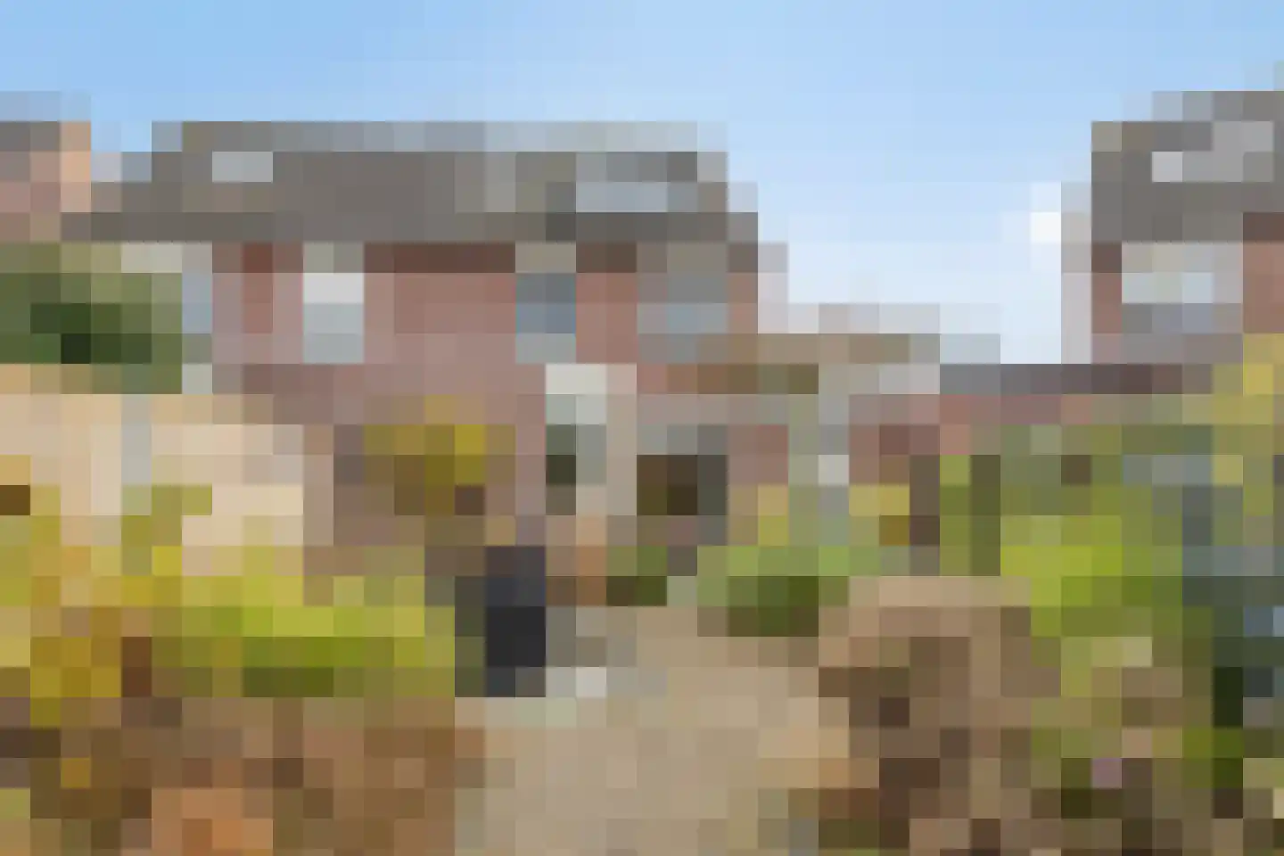 Bosrank 23 Cuijk thumbnail 35