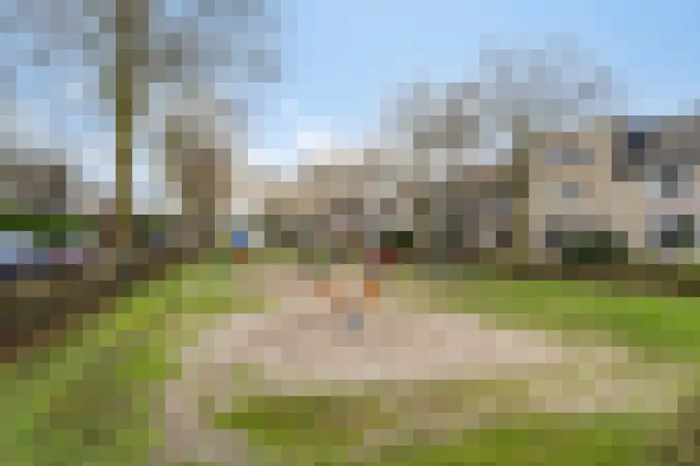 Bosrank 23 Cuijk thumbnail 40