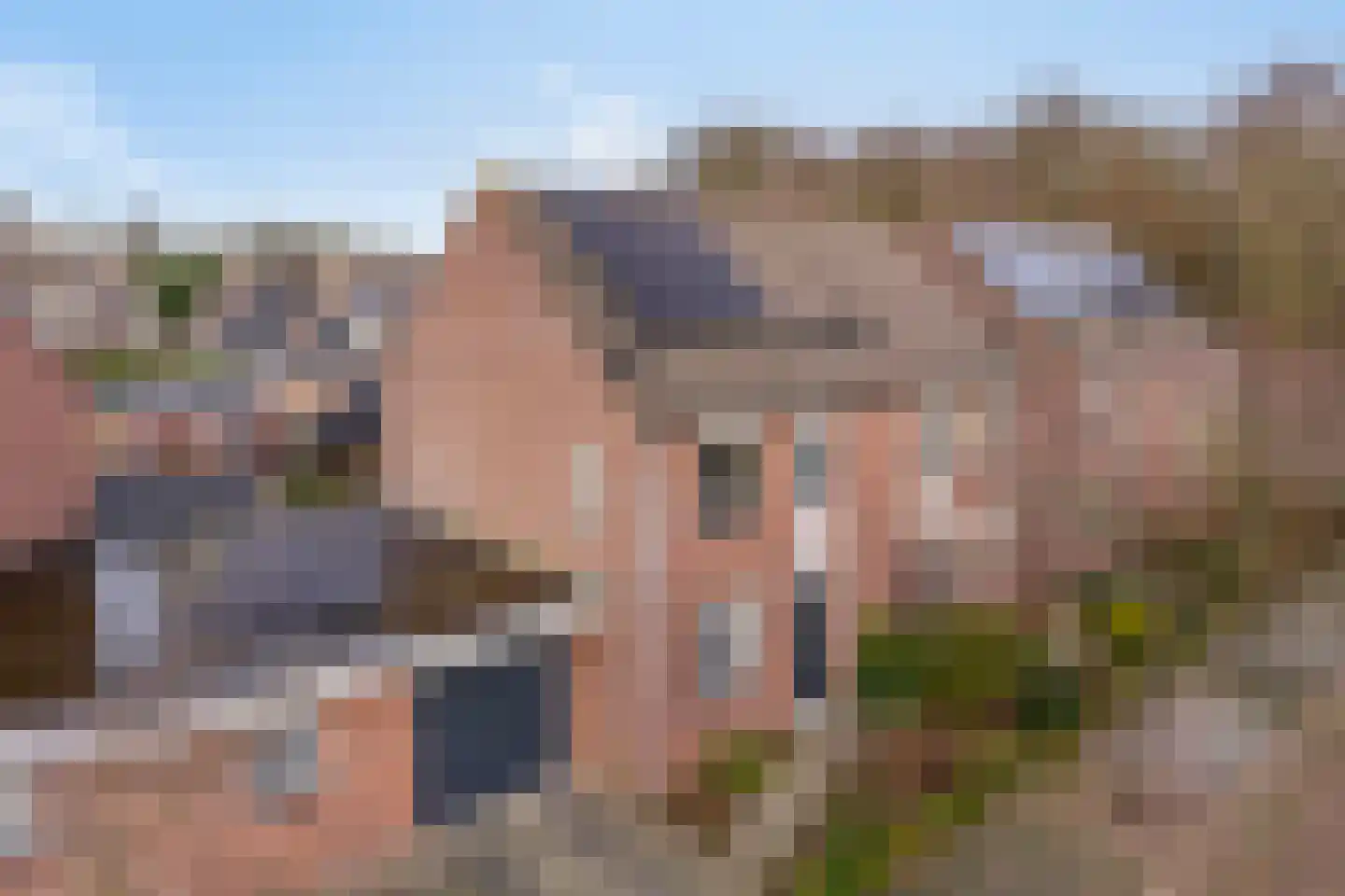 Bosrank 23 Cuijk thumbnail 6