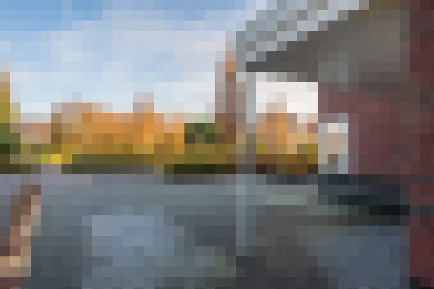Bosrank 24 Assen thumbnail 11