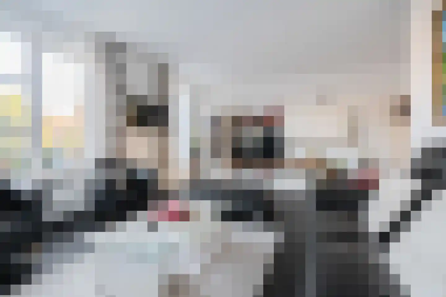 Bosrank 24 Assen thumbnail 17