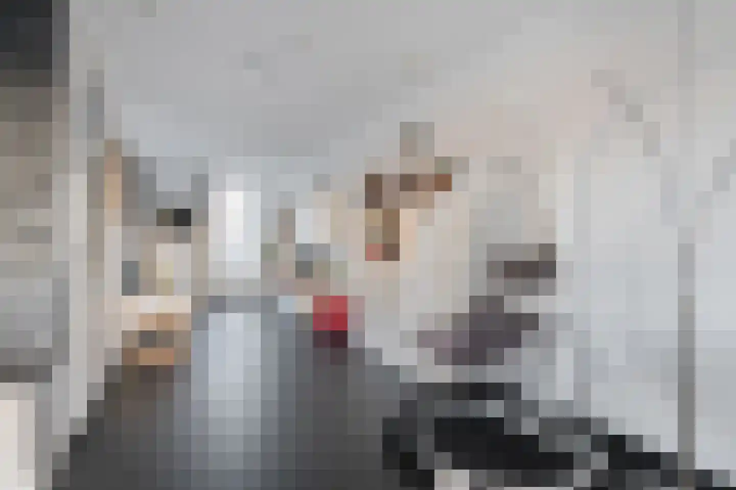 Bosrank 24 Assen thumbnail 30