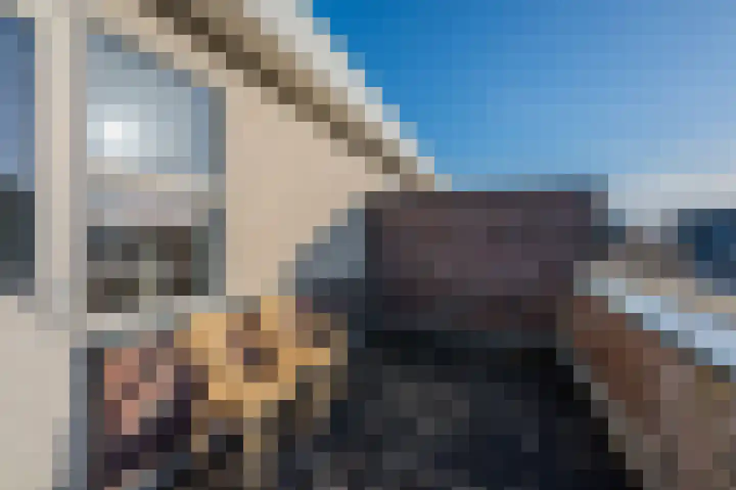 Bosrank 24 Assen thumbnail 45