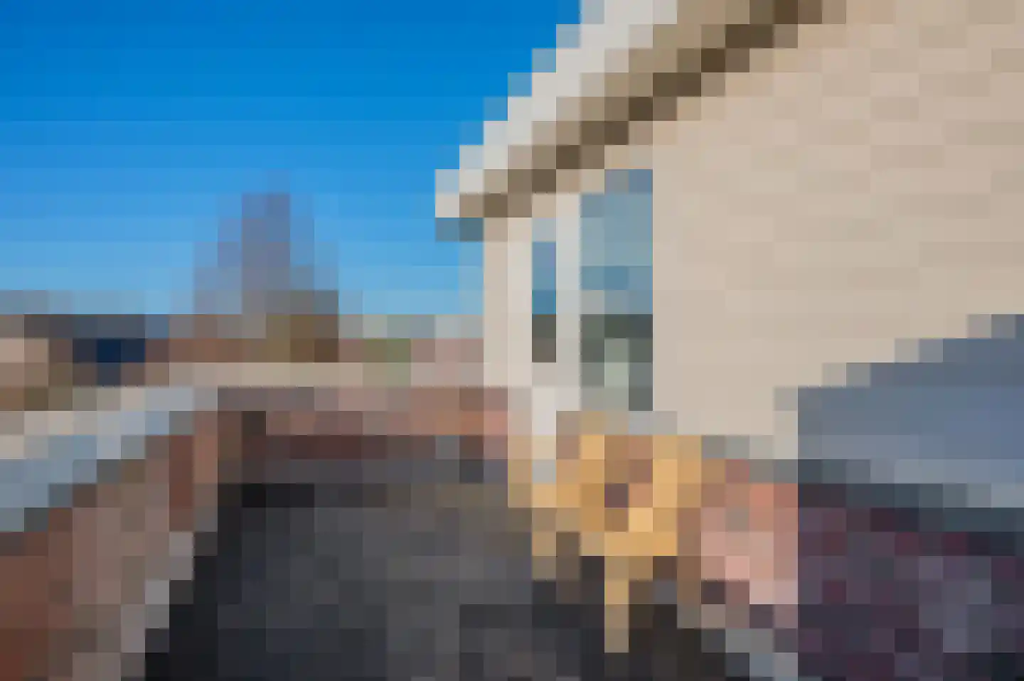 Bosrank 24 Assen thumbnail 48