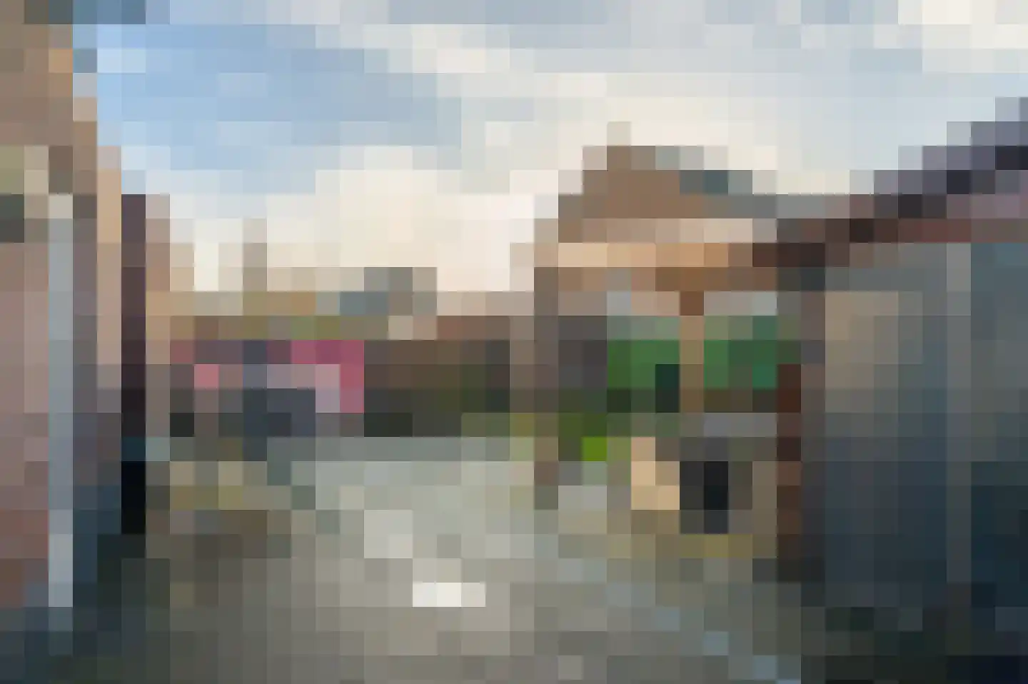 Bosrank 24 Assen thumbnail 49