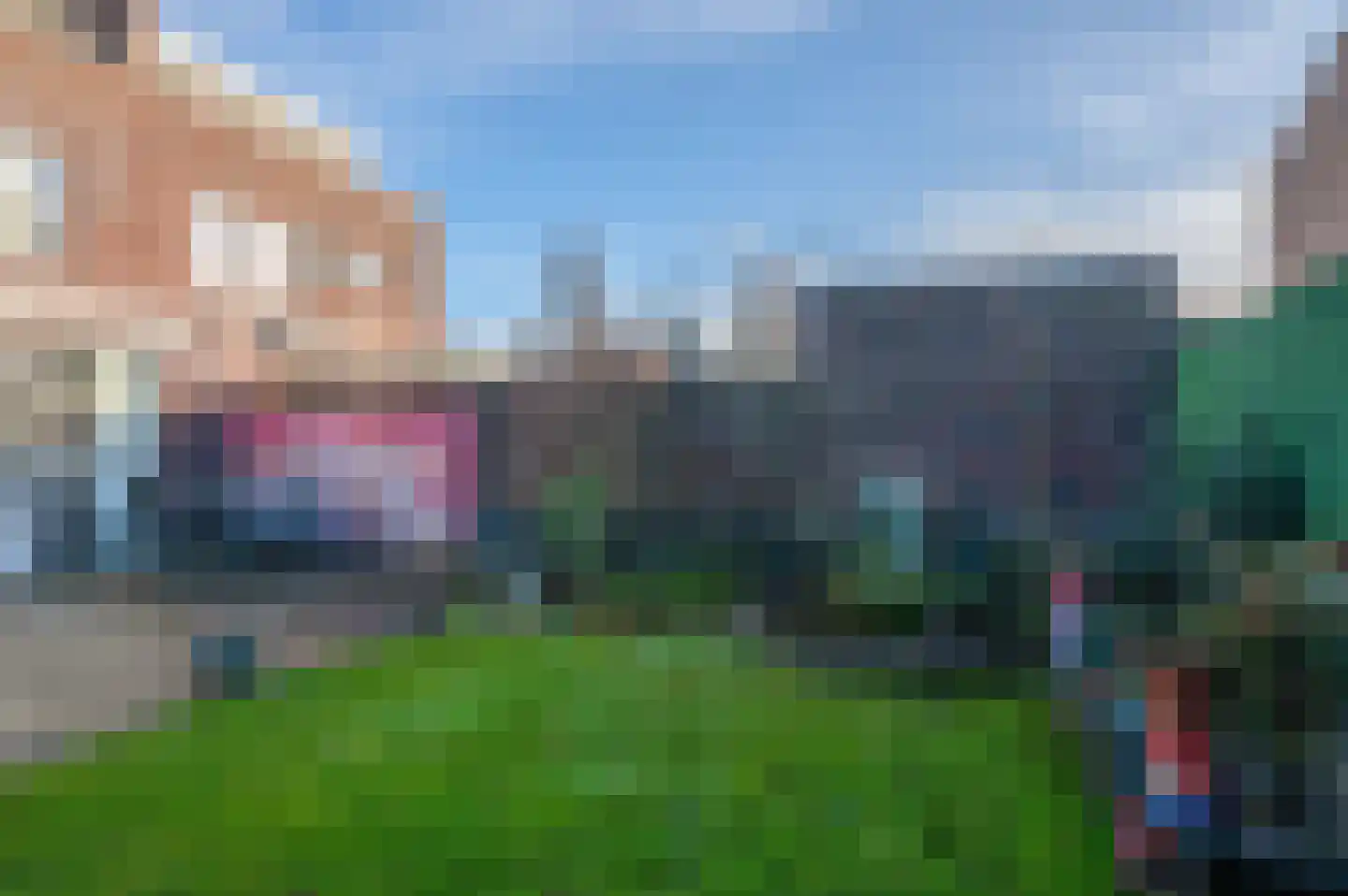 Bosrank 24 Assen thumbnail 52