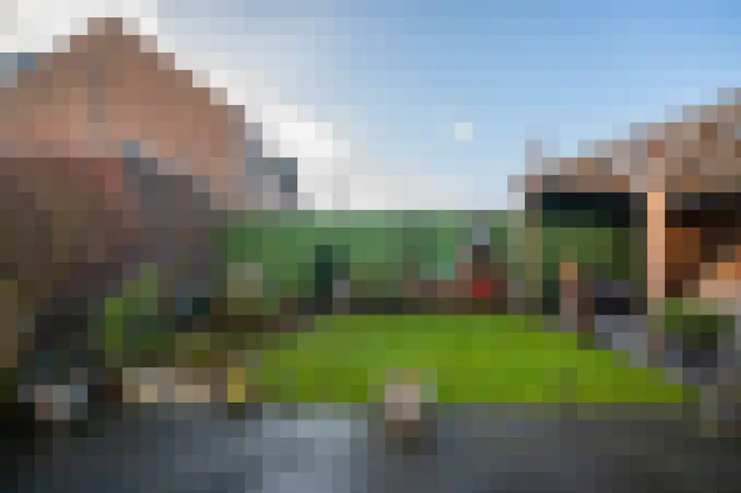 Bosrank 24 Assen thumbnail 55