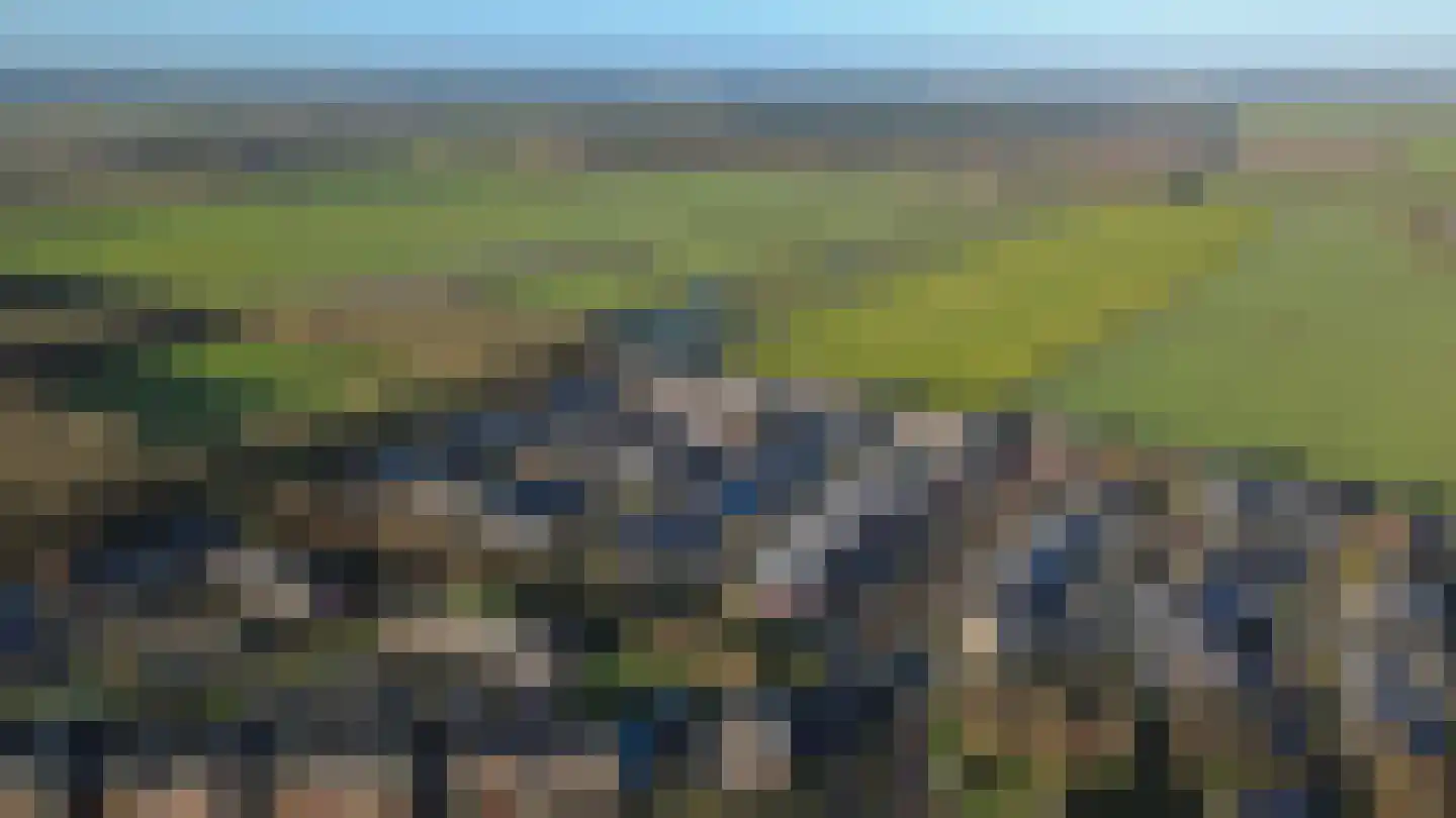 Bosrank 24 Assen thumbnail 69