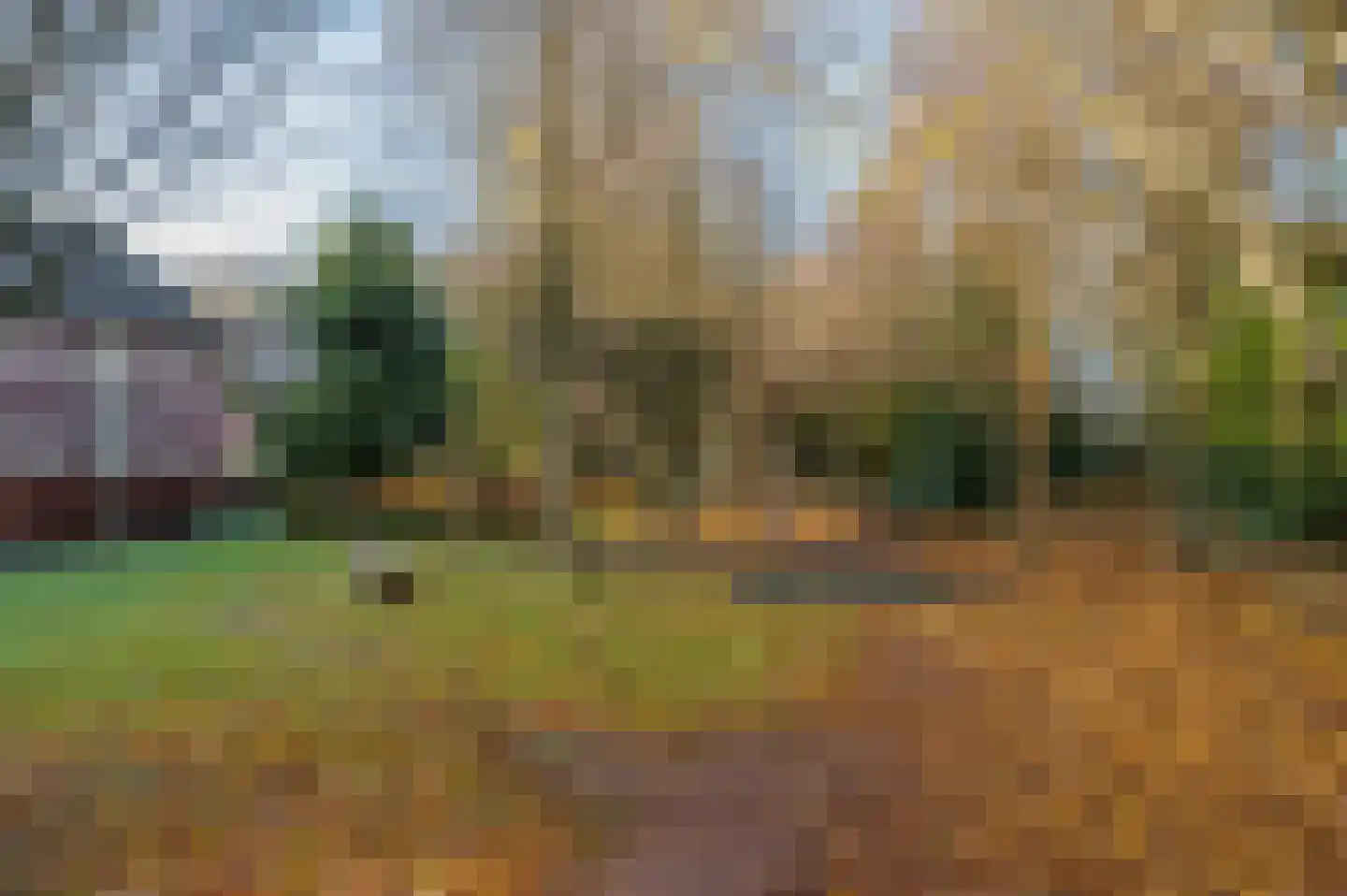 Bosrank 24 Assen thumbnail 71
