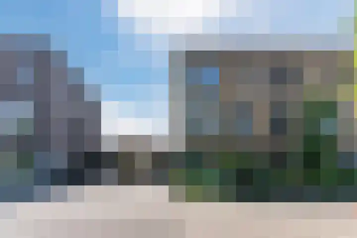 Bosrank 28 Assen thumbnail 4