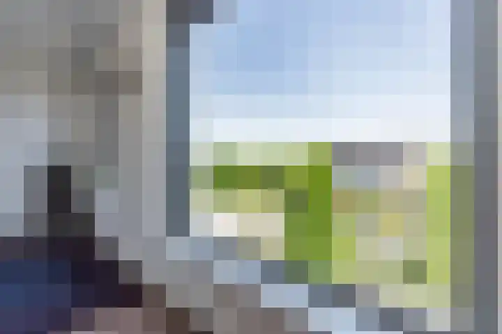 Bosrank 28 Assen thumbnail 46
