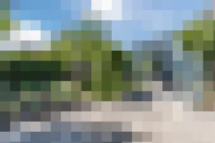Bosrank 28 Assen thumbnail 51