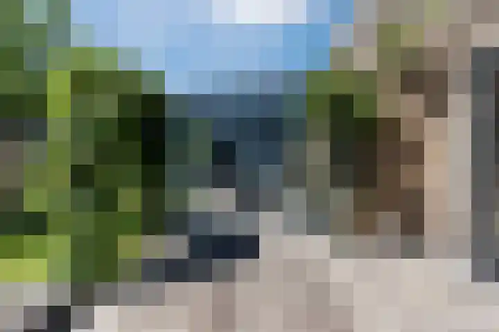 Bosrank 28 Assen thumbnail 52