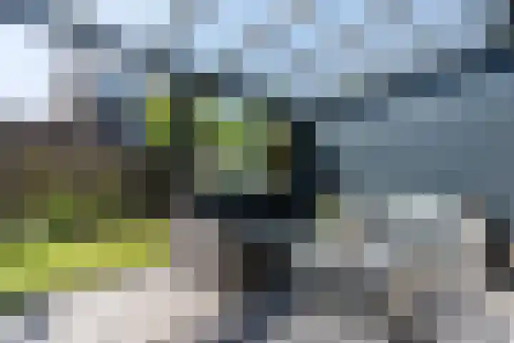 Bosrank 28 Assen thumbnail 55