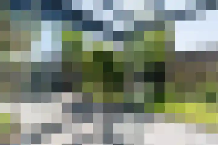 Bosrank 28 Assen thumbnail 56