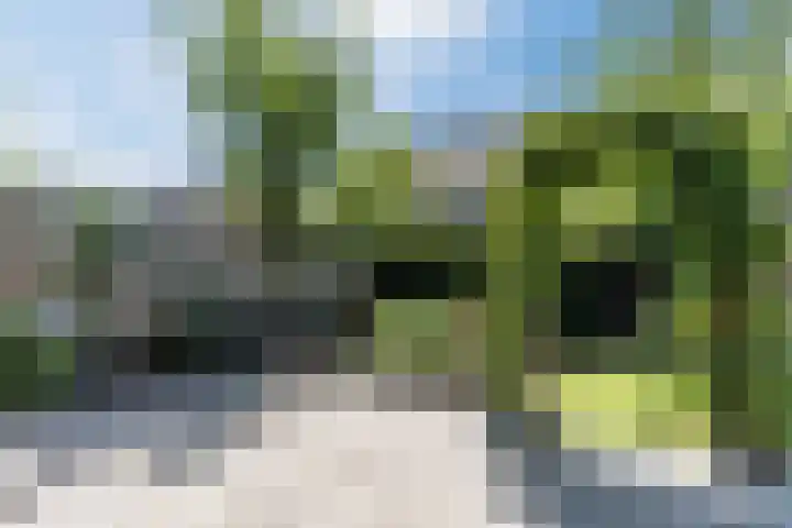 Bosrank 28 Assen thumbnail 57