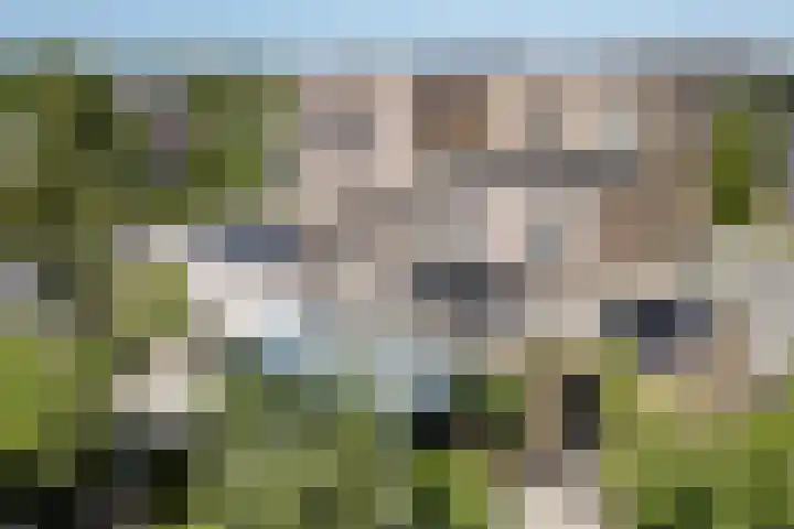Bosrank 28 Assen thumbnail 58