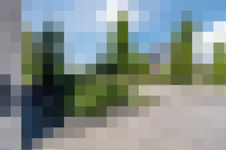 Bosrank 28 Assen thumbnail 6