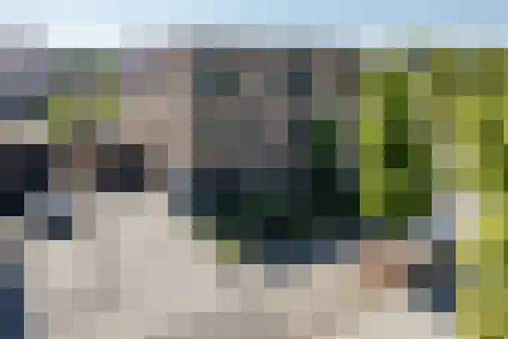 Bosrank 28 Assen thumbnail 65