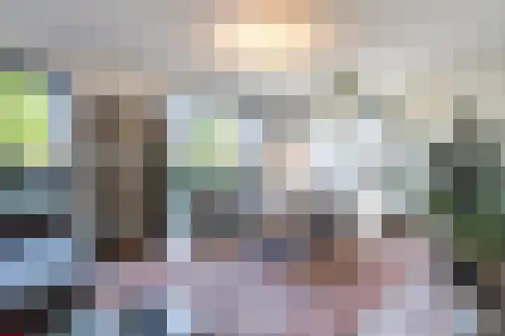 Bosrank 28 Assen thumbnail 8