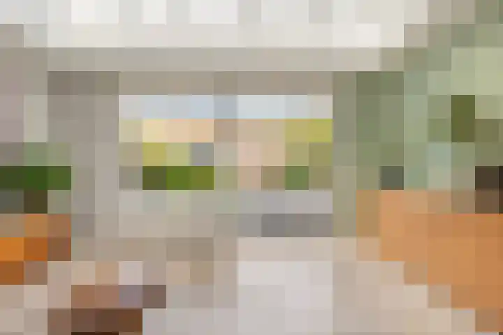 Bosrank 28 Heiloo thumbnail 10