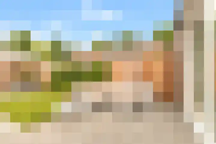 Bosrank 28 Heiloo thumbnail 13