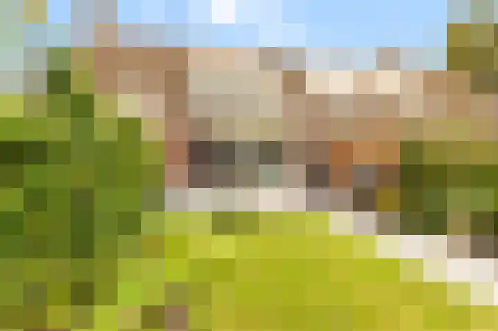 Bosrank 28 Heiloo thumbnail 14