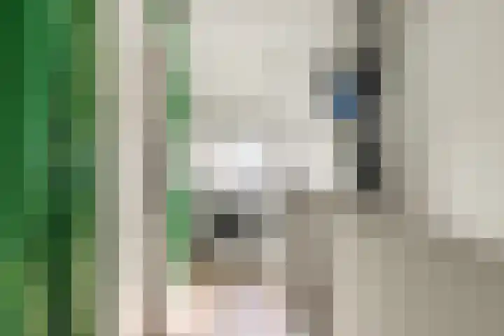 Bosrank 28 Heiloo thumbnail 22