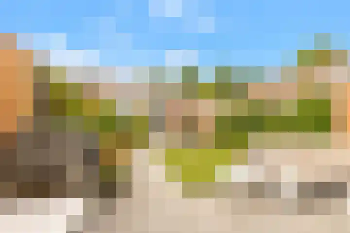 Bosrank 28 Heiloo thumbnail 25