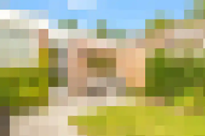 Bosrank 28 Heiloo thumbnail 26