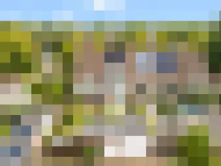 Bosrank 28 Heiloo thumbnail 28