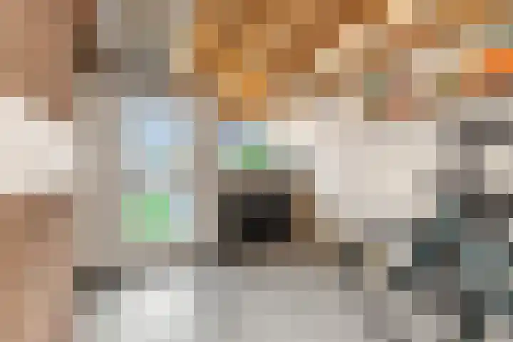 Bosrank 28 Heiloo thumbnail 30