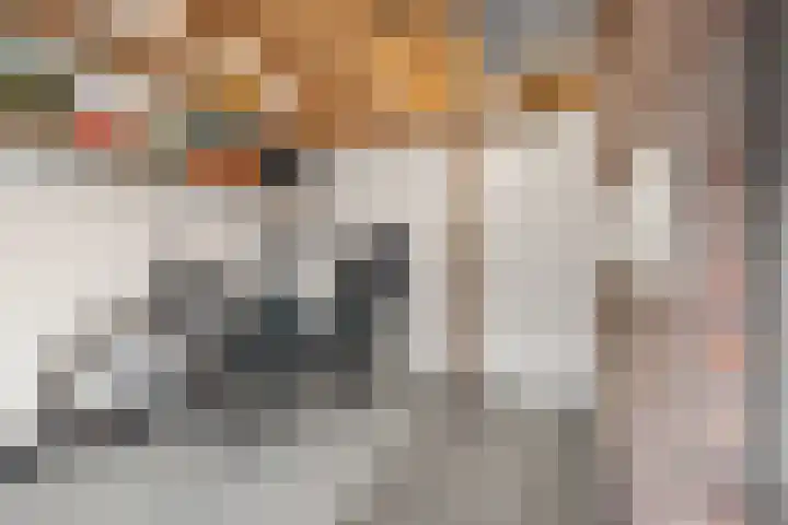 Bosrank 28 Heiloo thumbnail 31
