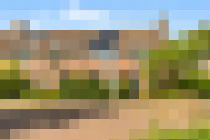 Bosrank 28 Heiloo thumbnail 33