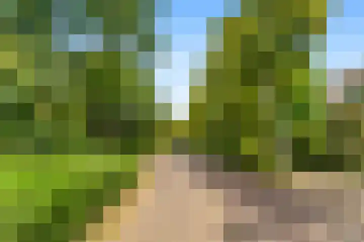 Bosrank 28 Heiloo thumbnail 35