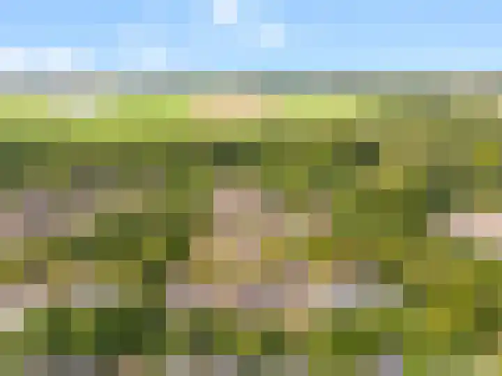 Bosrank 28 Heiloo thumbnail 36