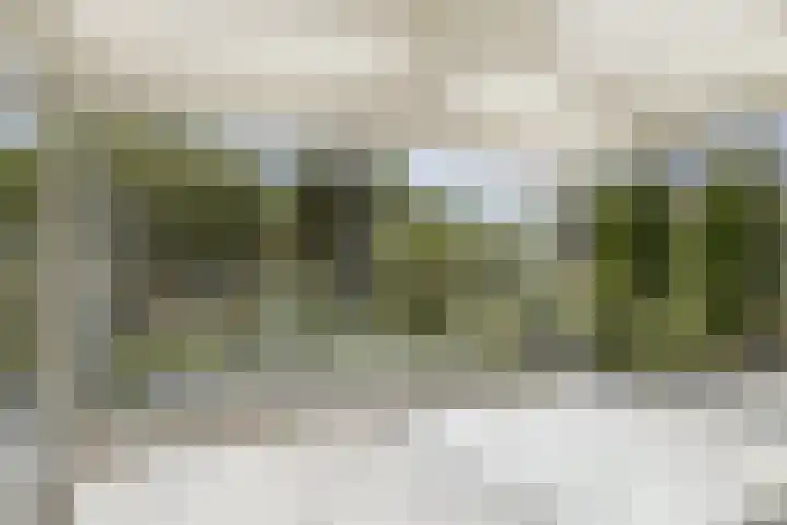 Bosrank 32 Heiloo thumbnail 11