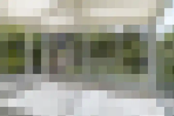 Bosrank 32 Heiloo thumbnail 12