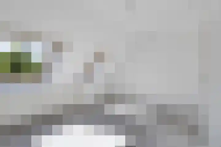 Bosrank 32 Heiloo thumbnail 14