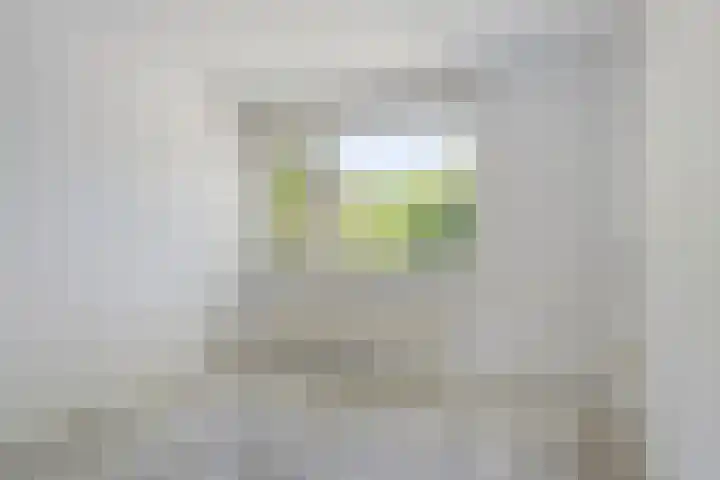 Bosrank 32 Heiloo thumbnail 18