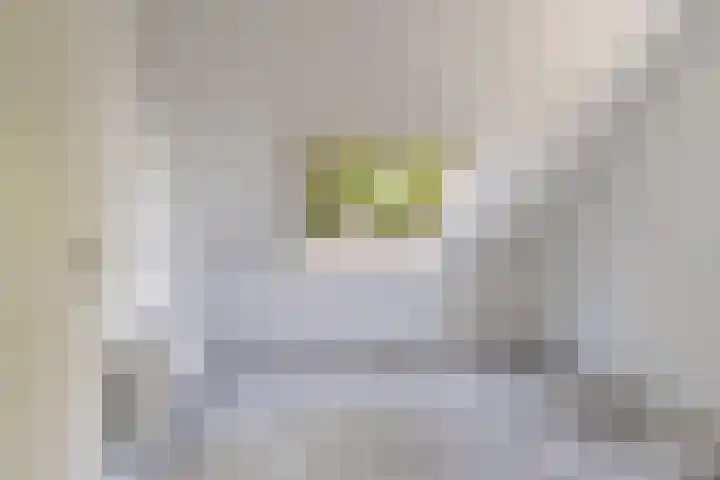 Bosrank 32 Heiloo thumbnail 22