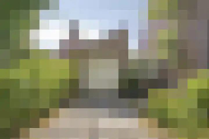 Bosrank 32 Heiloo thumbnail 24
