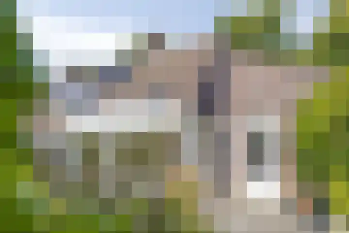 Bosrank 32 Heiloo thumbnail 27