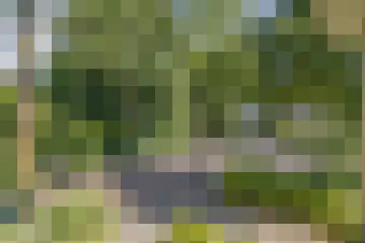 Bosrank 32 Heiloo thumbnail 29