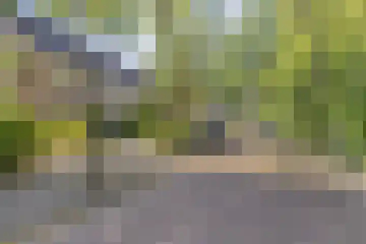 Bosrank 32 Heiloo thumbnail 31