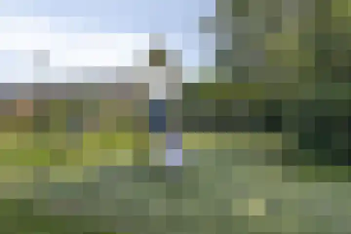 Bosrank 32 Heiloo thumbnail 32