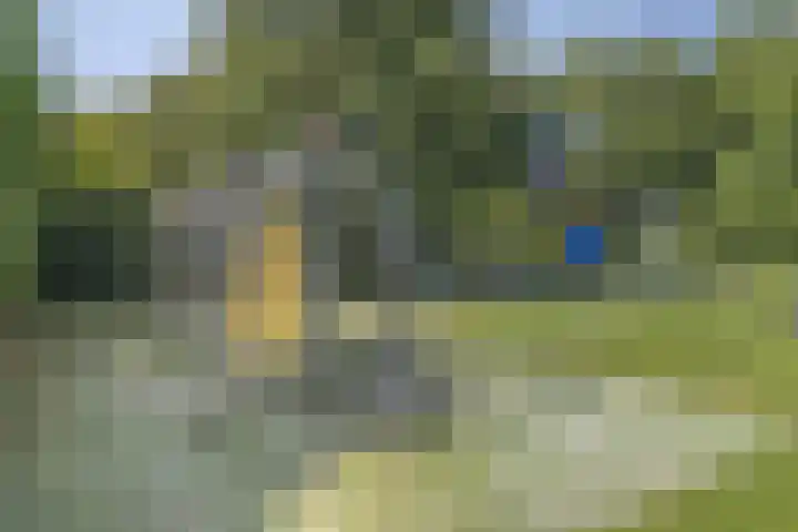 Bosrank 32 Heiloo thumbnail 33