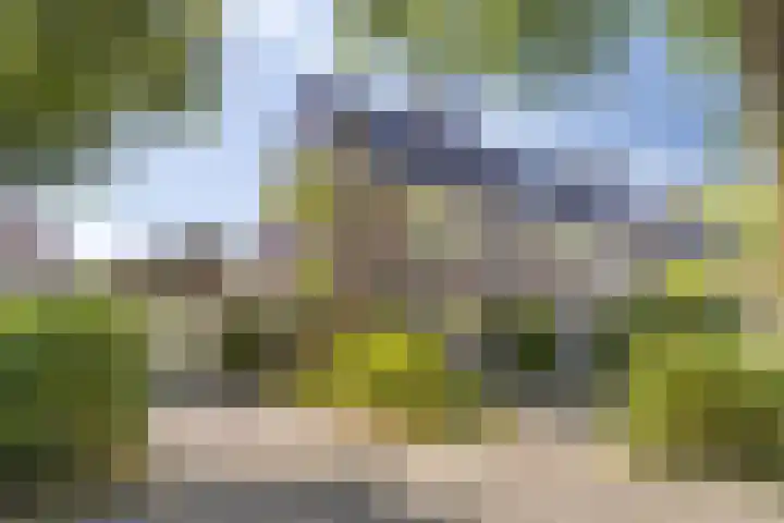 Bosrank 32 Heiloo thumbnail 38